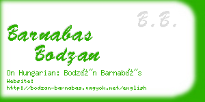 barnabas bodzan business card